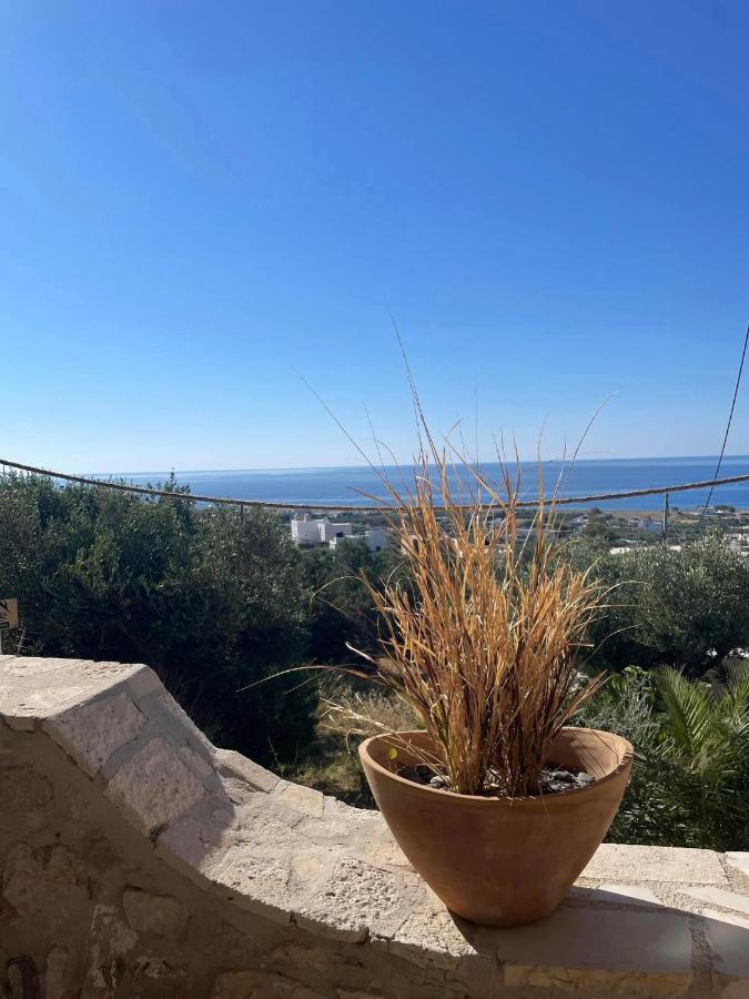 קוטסונארי Markos Home מראה חיצוני תמונה